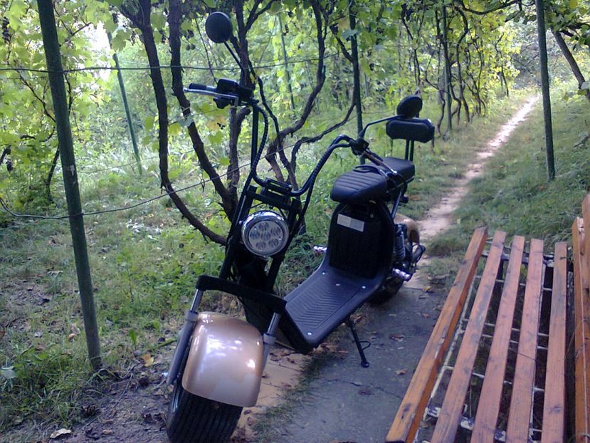 Fotografie4128 - 2018 SCUTER CADOUL DE ZIUA LUI AUREL 11 august