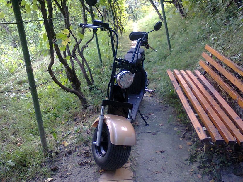 Fotografie4131 - 2018 SCUTER CADOUL DE ZIUA LUI AUREL 11 august