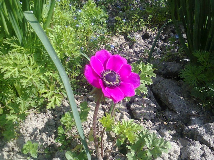 Fotografie0981 - 2018