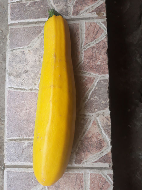  - Legume din Gradina 2017-2018