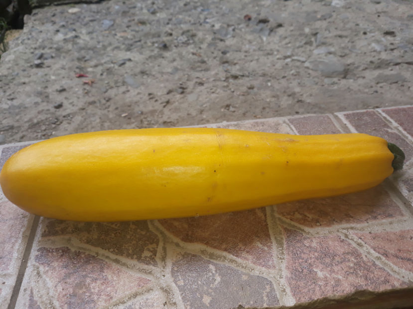  - Legume din Gradina 2017-2018