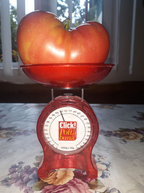  - Legume din Gradina 2017-2018