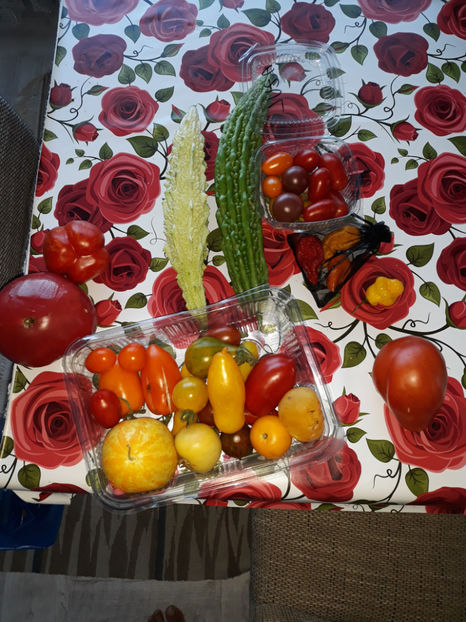  - Legume din Gradina 2017-2018