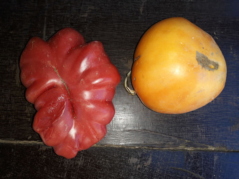  - Legume din Gradina 2017-2018