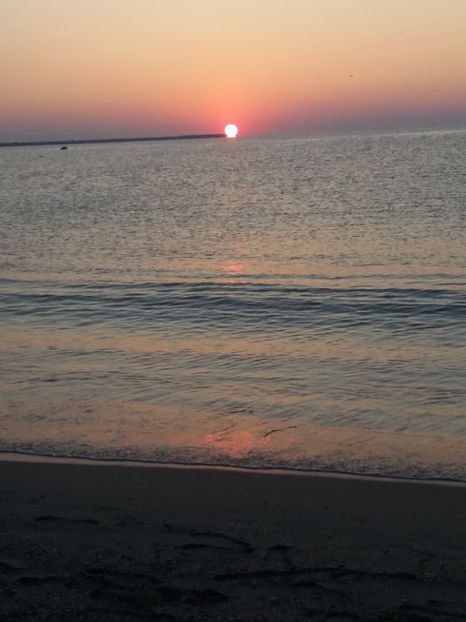  - Eforie Nord august 2018