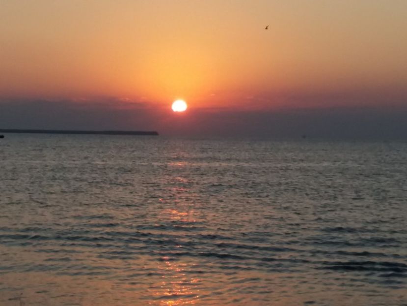  - Eforie Nord august 2018