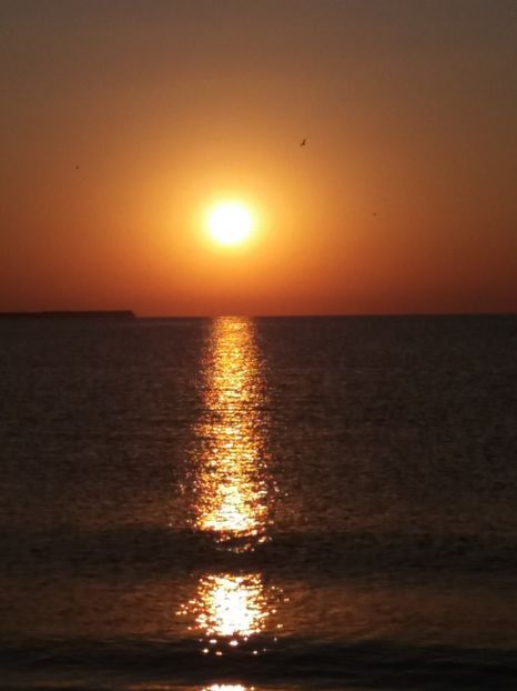  - Eforie Nord august 2018