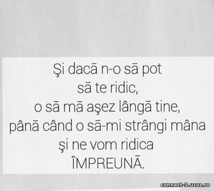 - 0-Heii-Here is Reny-0