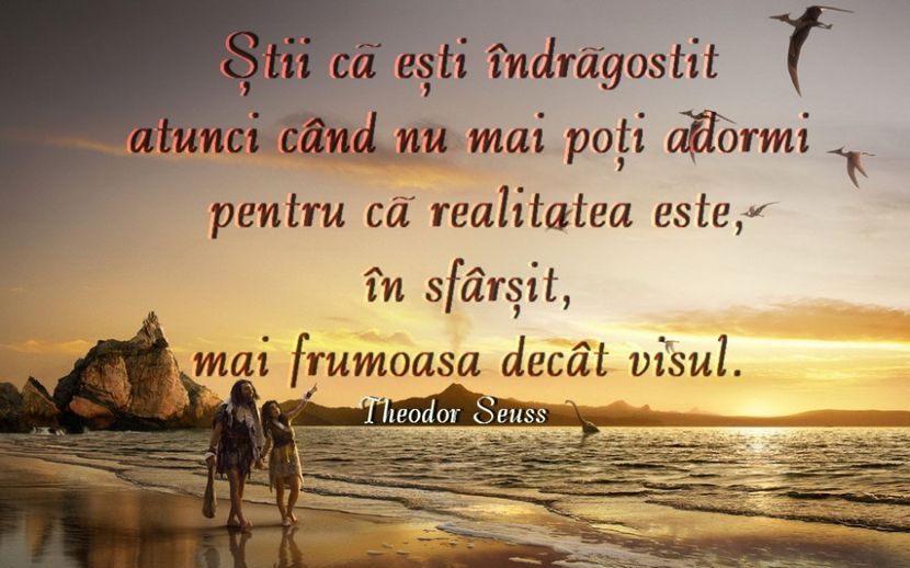 realitatea-mai-frumoasa-decat-visul - 0-Heii-Here is Reny-0