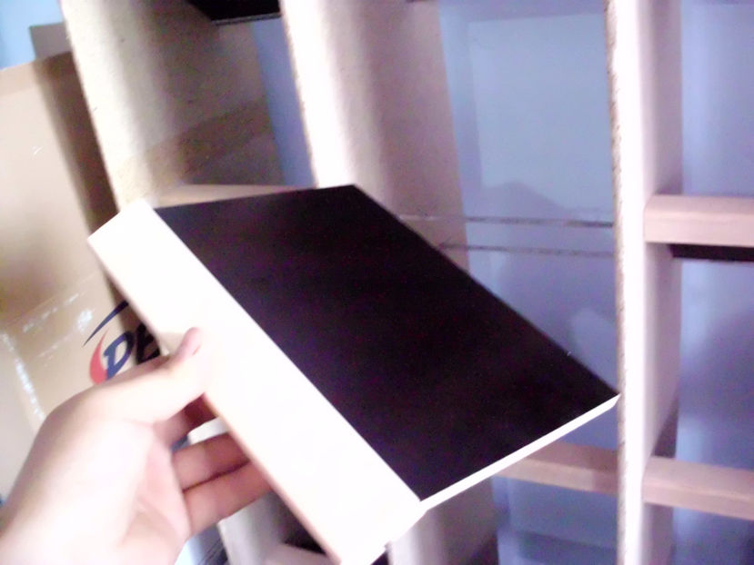 HPIM1445 - ACCESORII PORUMBEI