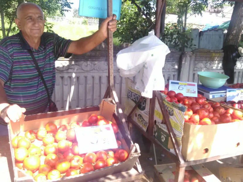  - Imagini 14 August 2018