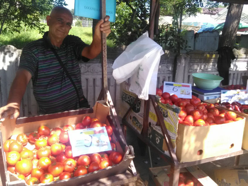  - Imagini 14 August 2018