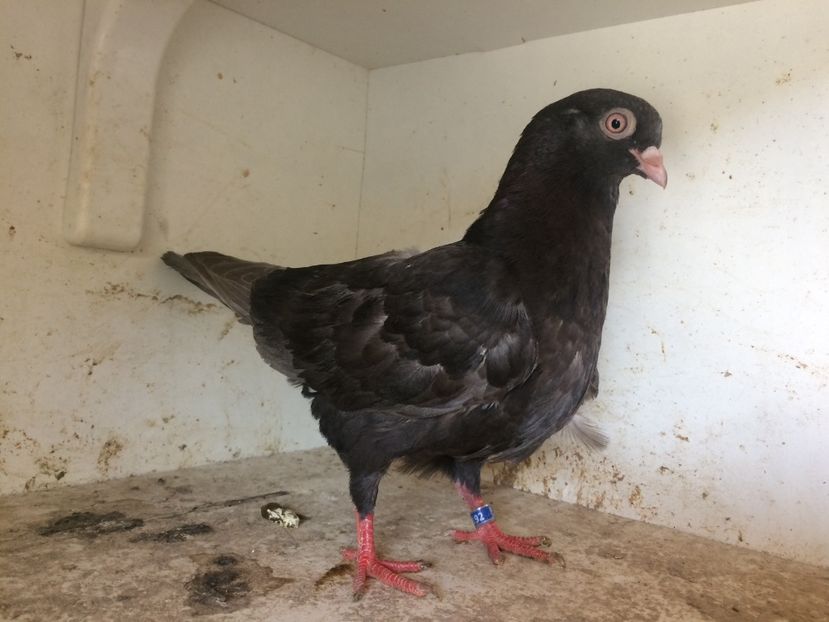 120 - 1-Lot zbor 2018