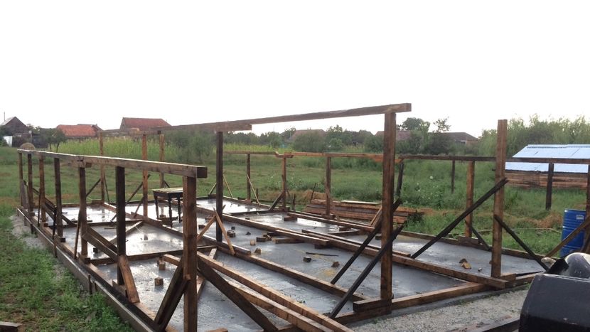 ploaie torentiala la dud - Ferma wyandotte coteț pentru gaini