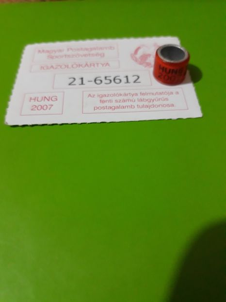 HUNG 2007 - Colectie inele Ungaria