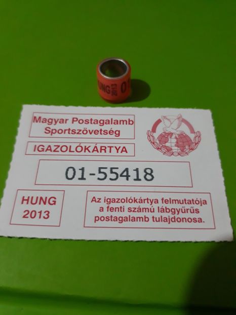 HUNG 2013 - Colectie inele Ungaria