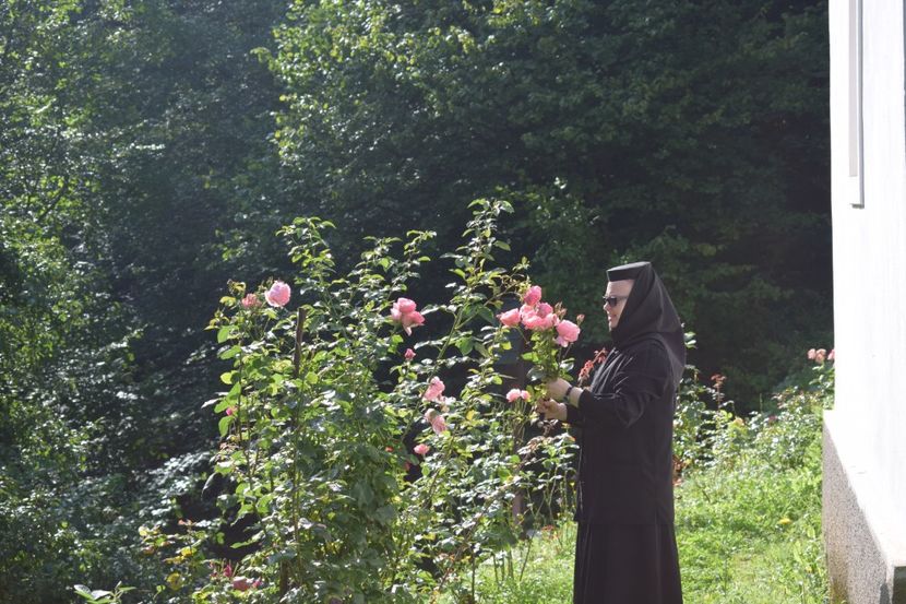  - HAI LA HORA HAI LA JOC!