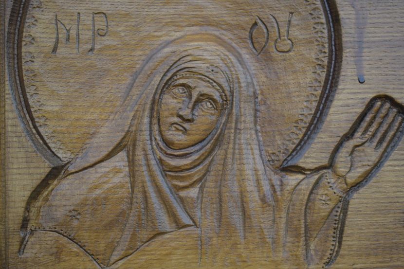  - TRANDAFIRI VARA 2018 V