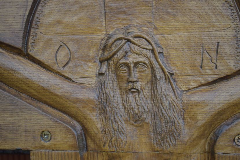  - TRANDAFIRI VARA 2018 V