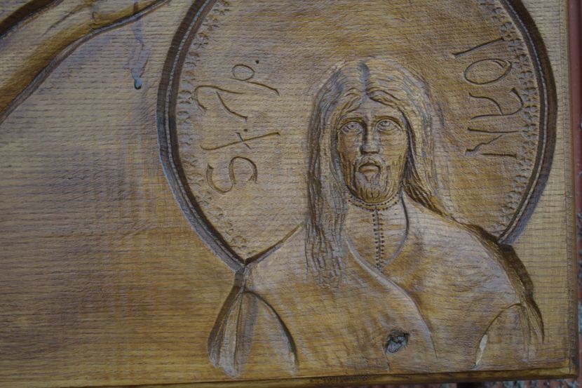  - TRANDAFIRI VARA 2018 V