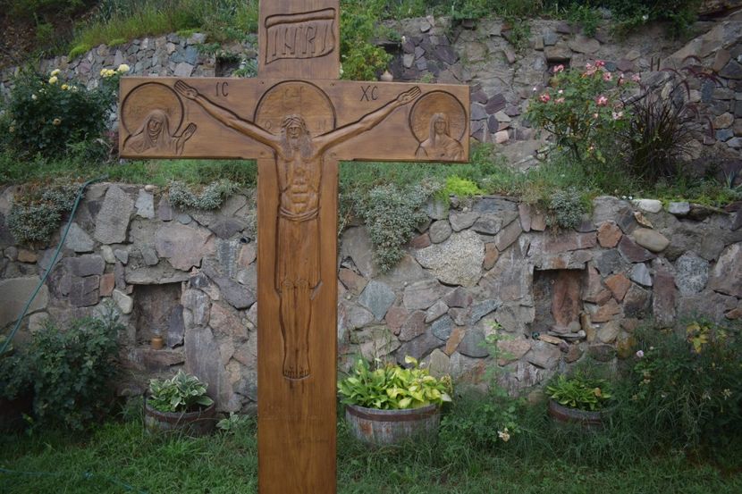  - TRANDAFIRI VARA 2018 V