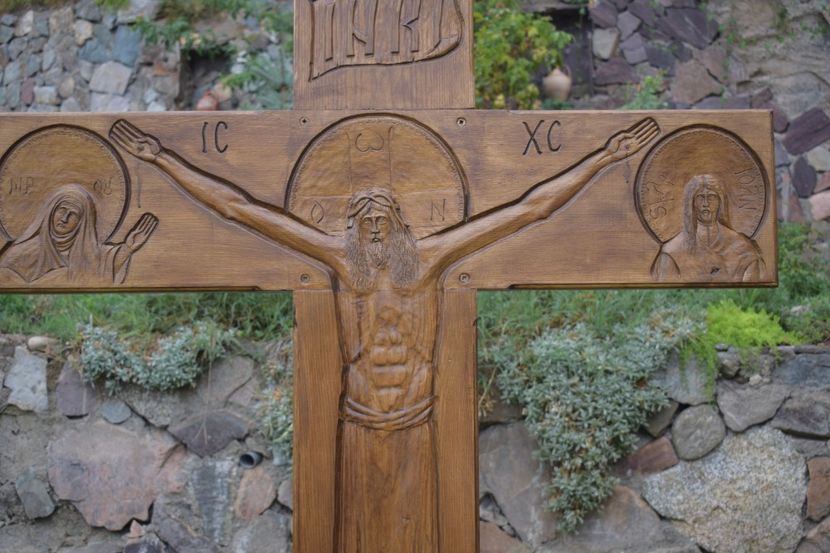  - TRANDAFIRI VARA 2018 V