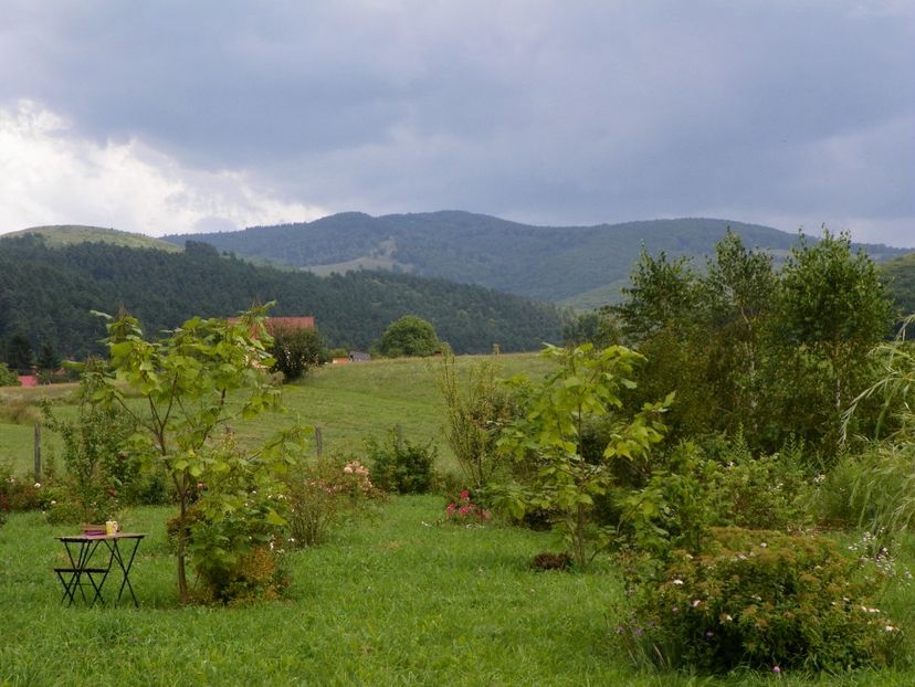 17 aug (275) - Dobarland 2018 3