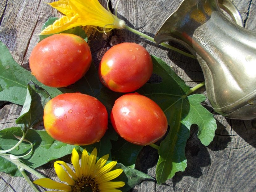  - SEMINTE ROSII - MARCHATSEKAYA TRAUBE