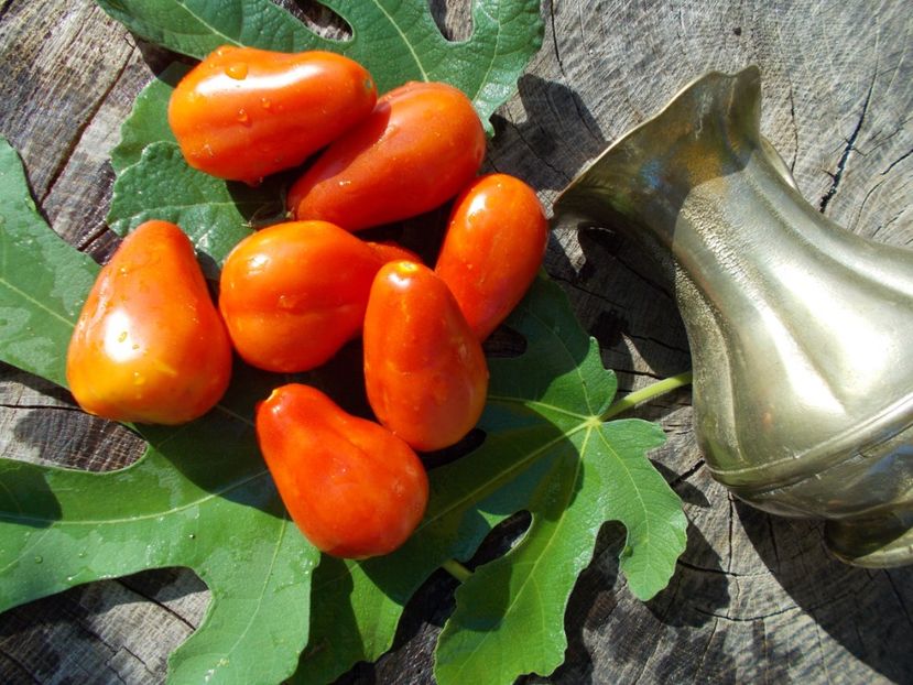  - SEMINTE ROSII - SAN MARZANO