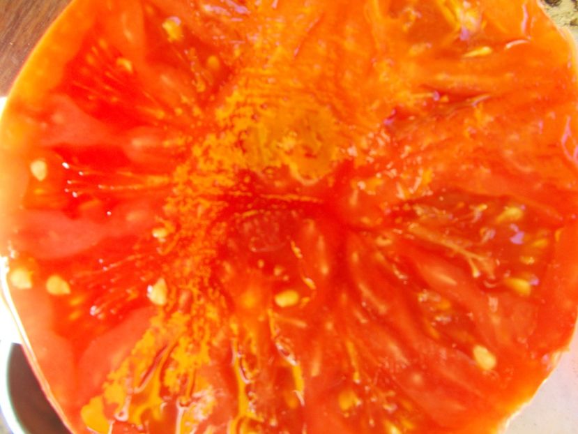  - SEMINTE ROSII - RIESENTOMATE ROT