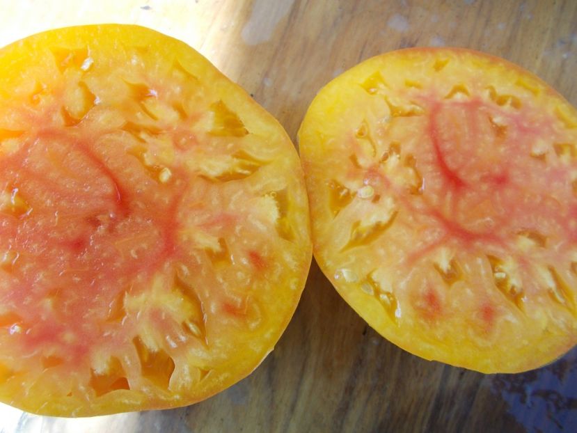  - SEMINTE ROSII - STRIPED GERMAN