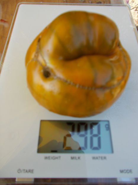  - SEMINTE ROSII - VERDE DE MOLDOVA