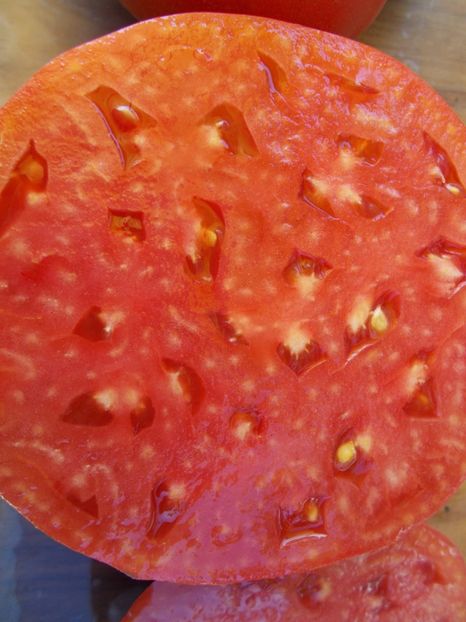  - SEMINTE ROSII - BIG ROSY UNDERWOOD