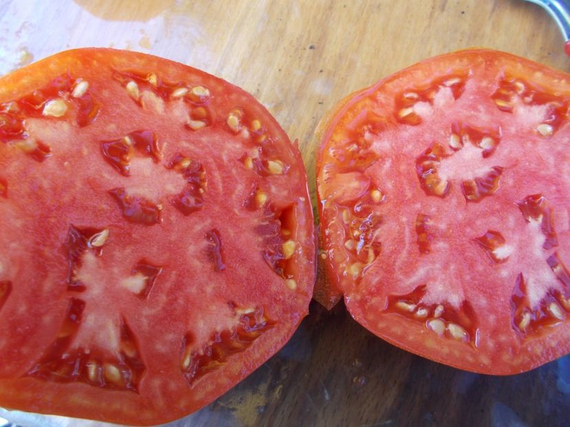  - SEMINTE ROSII - ROYALE DE GUINEAUX