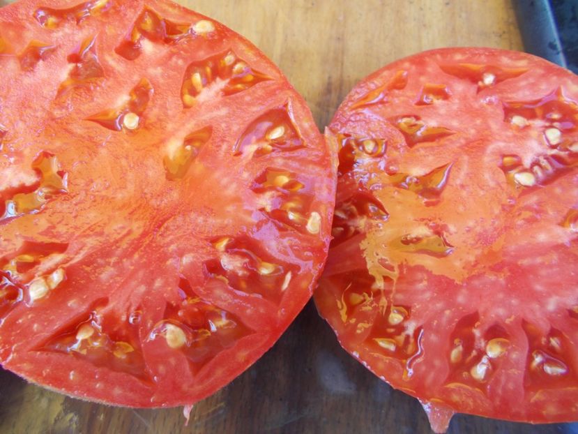  - SEMINTE ROSII - PURPLE PASSION