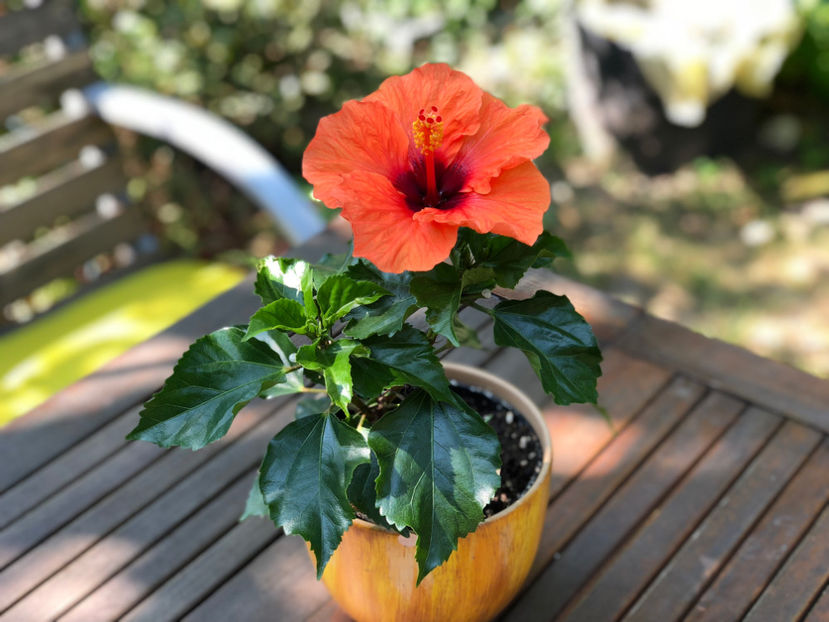 image2 - August 2018