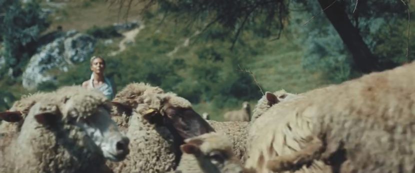 bandicam 2018-08-20 17-03-38-885 - 22 O sa uit