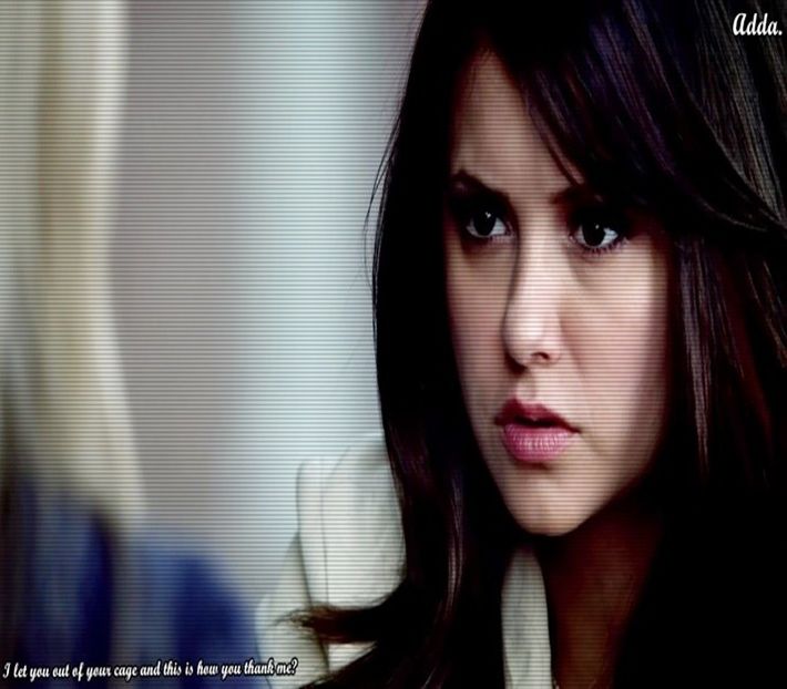 Serios? Saraca Ely, cred ca e distrusa. - episodul 55