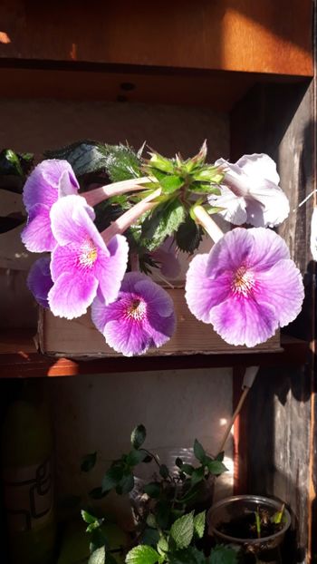  - 0001 2022 - Charles Martel