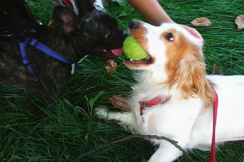 Nuovo_1_Photo9091 - Mimi