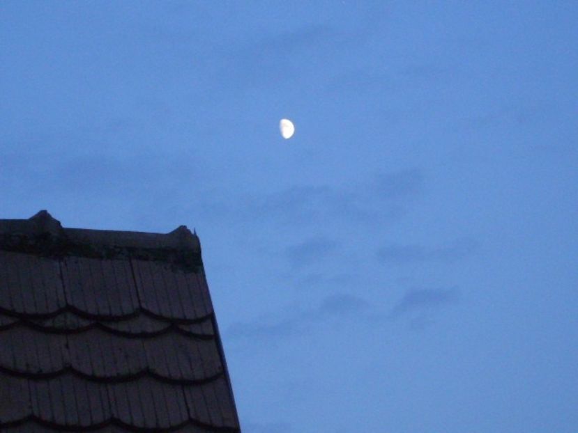 Primul patrar al Lunii in Sagetator - Luna - Soarele si norii - 1