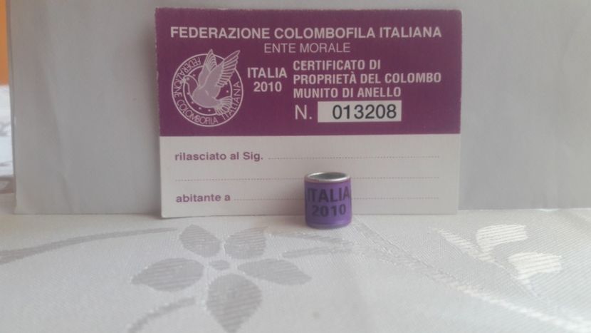 ITALIA 2010 - ITALIA - IT