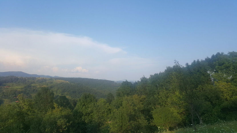  - PRIN GRADINA 2014 -216 - 2017 - 2018 Viata la tara