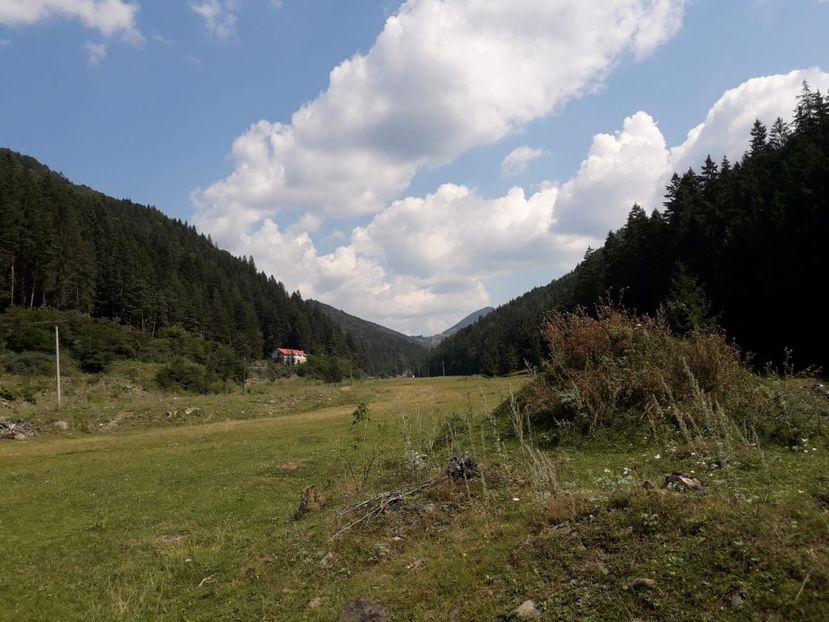 IMG-20180821-WA0017 - E Peisaje