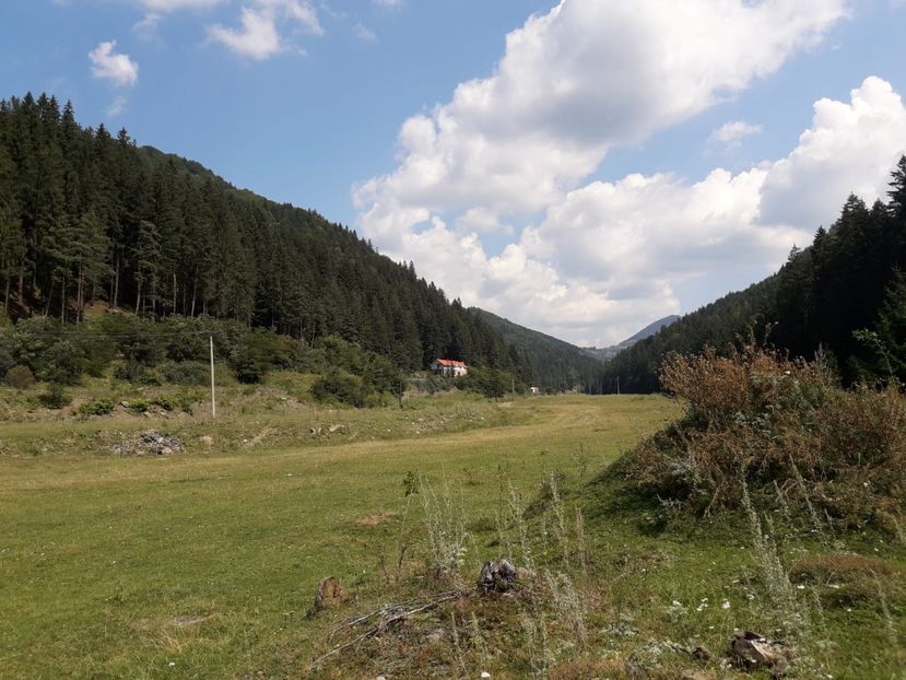 IMG-20180821-WA0022 - E Peisaje