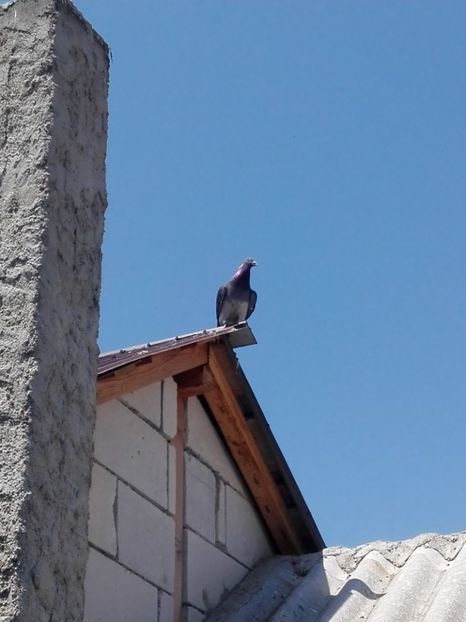 Sosire antrenament 360 km premergator Tartu - Tartu 2018