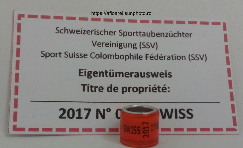 SWISS 2017 - SWISS