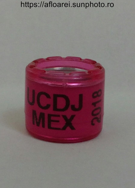 UCDJ MEX 2018 - MEXIC
