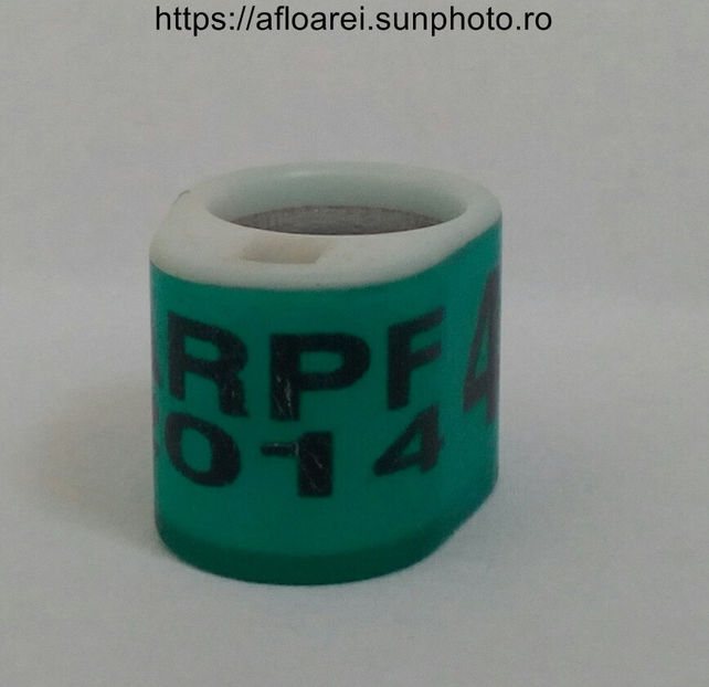 ARPF 2014 - NEW ZEELAND