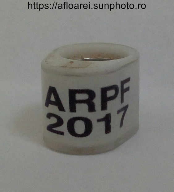 ARPF 2017 - NEW ZEELAND